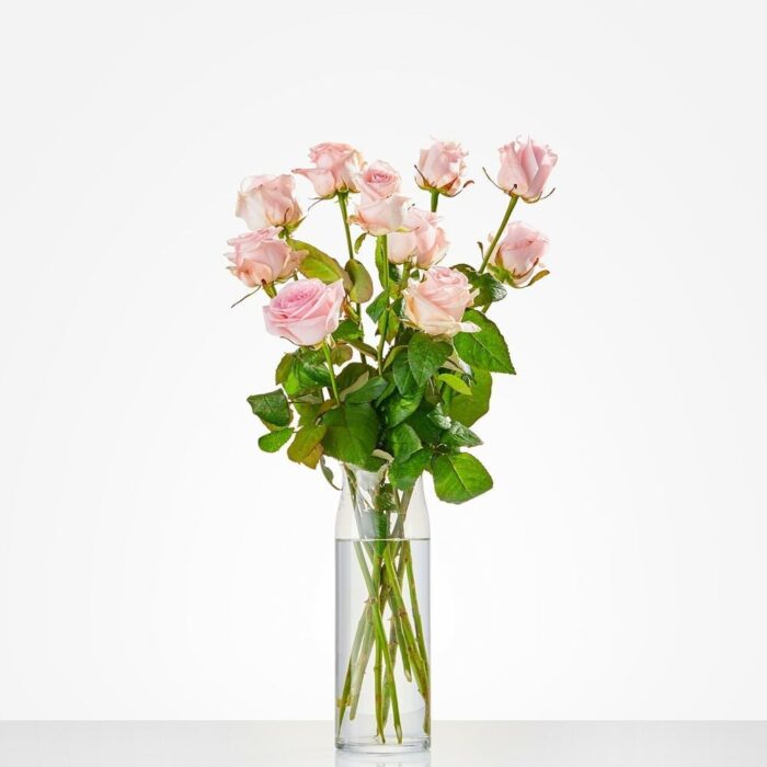 Losse roze rozen